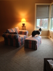 It's going to look different in this room.